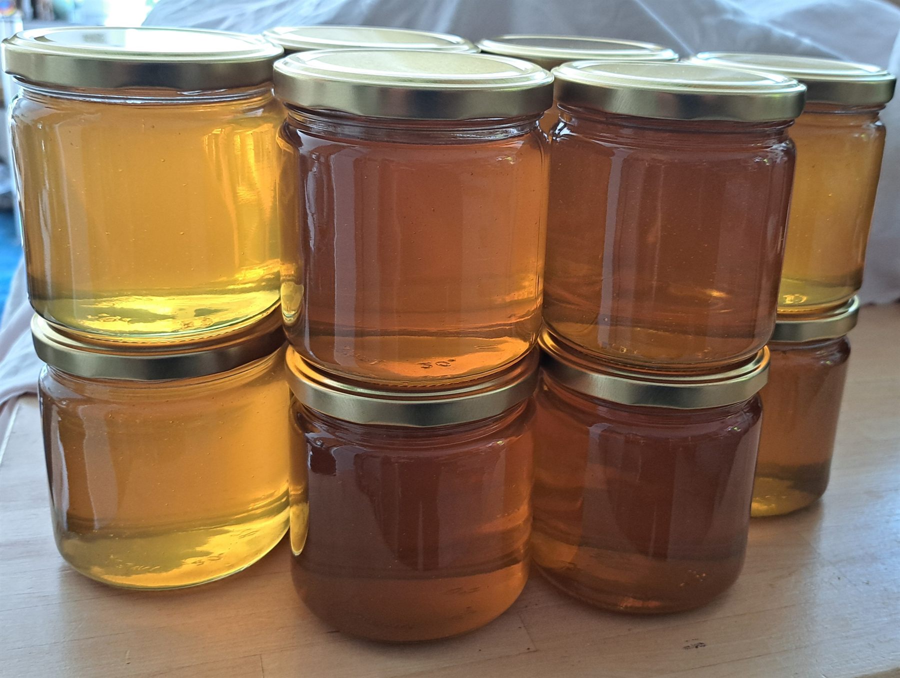 Frisch abgefüllte Honiggläser von Bienenmonaz